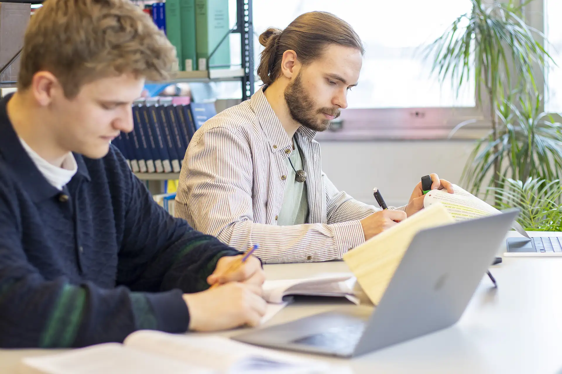 Steuerrecht Studieren