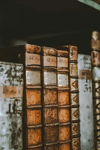 pexels-wojtekpaczes-18298083.webp