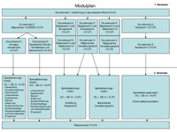 Master-Studienplan.pdf